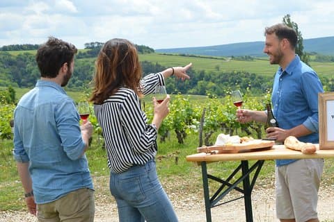 Enjoy the best of North Burgundy during a all included day tour from Paris