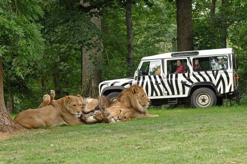 Thoiry park in France two-way transfer