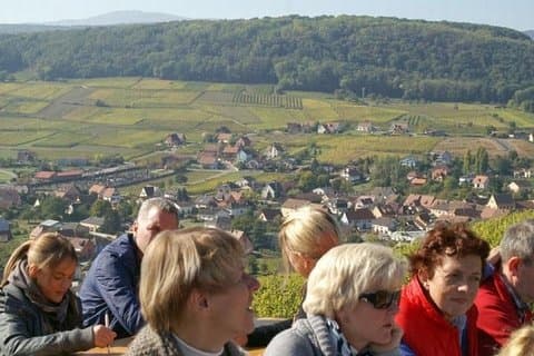 Alsace view over Zinnkoepfle