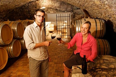 Loire Valley wine tasting