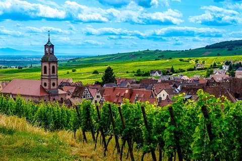 Alsace wine route