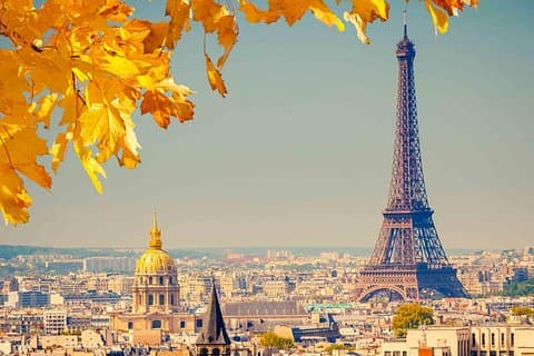 Paris by yourself (4-8h) with english speaking driver by MiniVan