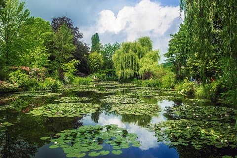 Monet's Lily Pond
