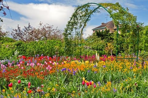 Monet's garden