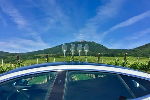 Tasking wine in the vineyard with castle Haut Koenigsbourg in the background