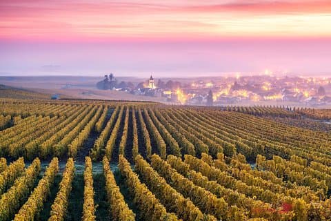 Epernay (World Capital Of Champagne)-Transportation Private Trip