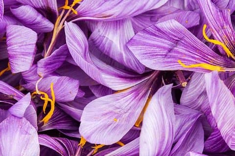 Saffron paris
