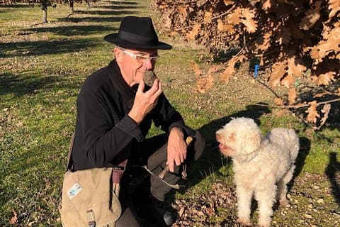 Visit truffle fields and hunt with a dog in all seasons.
