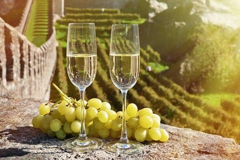 Full-Day Private Guided Tour of Champagne wih Hotel Pickup