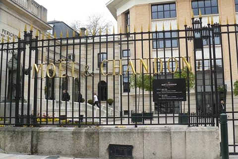 Champagne Moet & Hautvillers & Family Vineyard Visit & Vine Walk