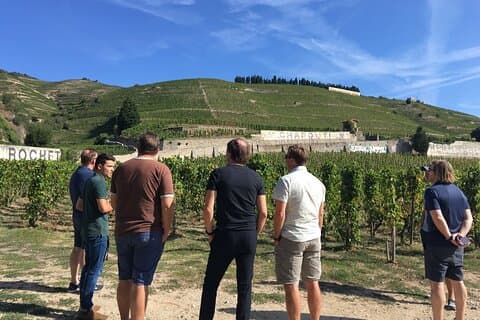 Northern Rhône Valley From Lyon Full day