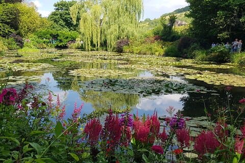 The weeping willow (gone now)