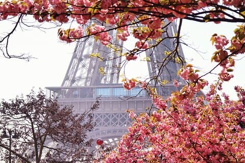 Eiffel Tower