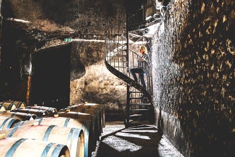 Bordeaux: Château Visit, Underground Cellars & Wine Tasting