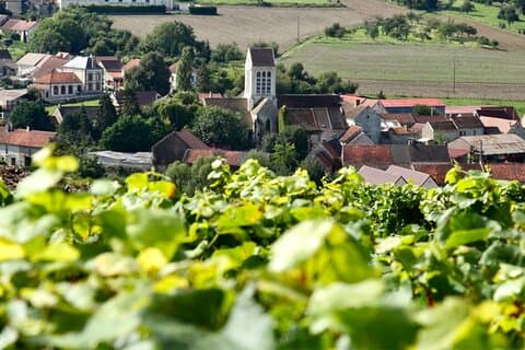 Taittinger Champagne Tastings Cellars Private trip from Paris