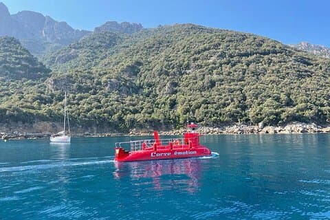 Semi-submarine: visit to the seabed of Porto Bay
