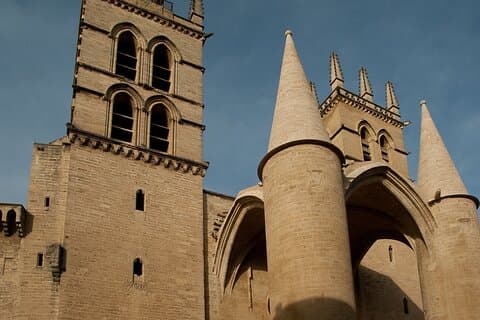 Private Historic Walking tour in Montpellier