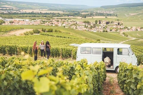 Discover the Champagne region with a vintage car.