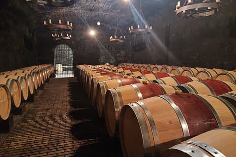 Visit to a cellar in Châteauneuf du Pape