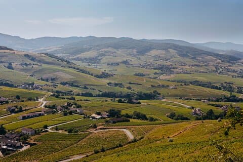 Beaujolais landscape