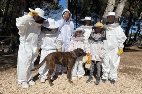 Immersion in the Life of a Hive and its Sacred Bees