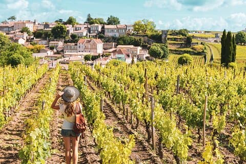 Saint-Emilion Pomerol Wine Tour Green Bordeaux