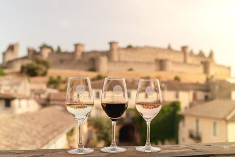 Tasting Discovery 3 Wines