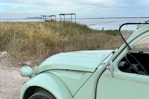 Walks Producers in Citroen 2cv