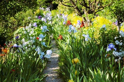Paris VIP: Giverny Claude Monet House & Gardens 5 hour tour