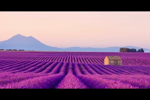 Valensole