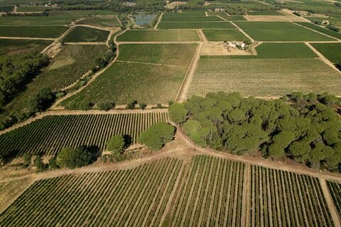 Provence Wine Tour - Private Day Tour from Nice