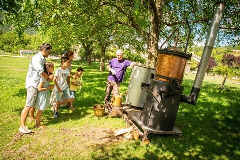 Discover the traditional distillation DE lavan DE at the foot of Vercors – a family workshop at the Distillery of the 4 Valleys, near Die, in the Drôme.