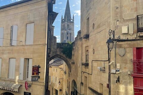 From Bordeaux Half day in Saint-Émilion: Village + Castle