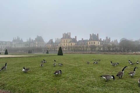 Château de Fontainebleau and Barbizon Village Full Day Tour
