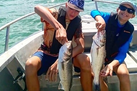 Sport fishing of the lures bar