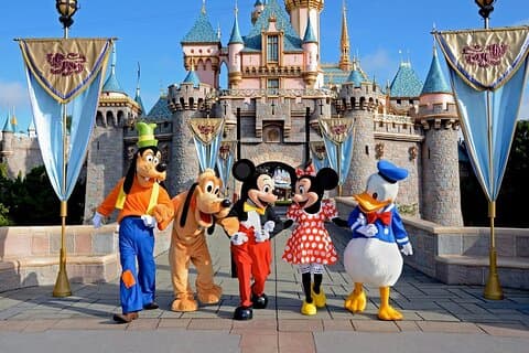 Private One-Way Transfer to Disneyland Paris – Stress-Free Travel