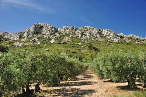 Alpilles