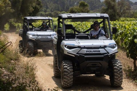 Vineyard and Janot Forest in Buggy 1OO% electric