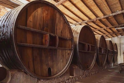 Wine tasting in Chateauneuf-du-Pape with transport