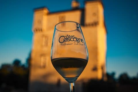 Commented tasting of 8 wines at the Domaine de Herrebouc
