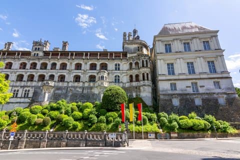 From Paris Loire Valley Half Day Castle and Wine Tour