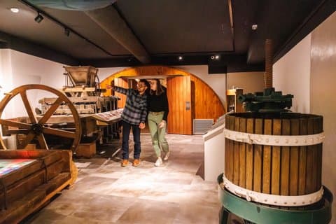 Colmar: Inside Vino Storia - Journey Through Alsace Wine History
