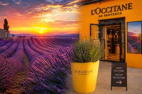 Aix-en-Provence: Private Lavender Sunset Tour. Only you