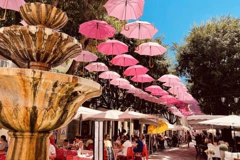 Private Tour Provence Medieval Villages from Nice