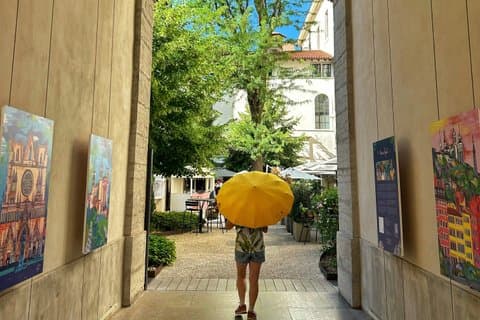 Intro to Lyon Dynamic Walking Tours with Local Guide
