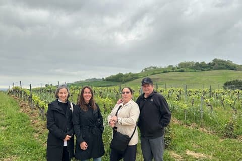 Gaillac Wine Tour Small Group Half Day Tour From Toulouse