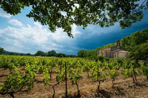 Explore Gaillac Wines Private Half Day Tour From Toulouse