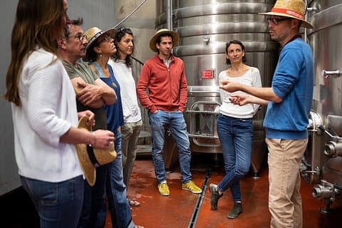 Private Half-Day Languedoc Wine Tour from Cap d'Agde