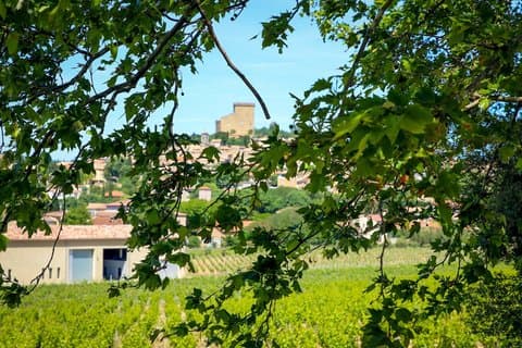 Wines of Châteauneuf-du-Pape, History, Heritage, Finest Vineyards