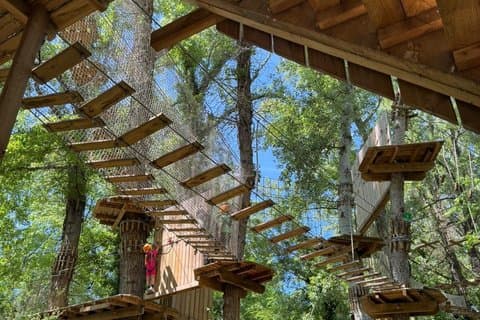 Tree top Adventure in Toulouse